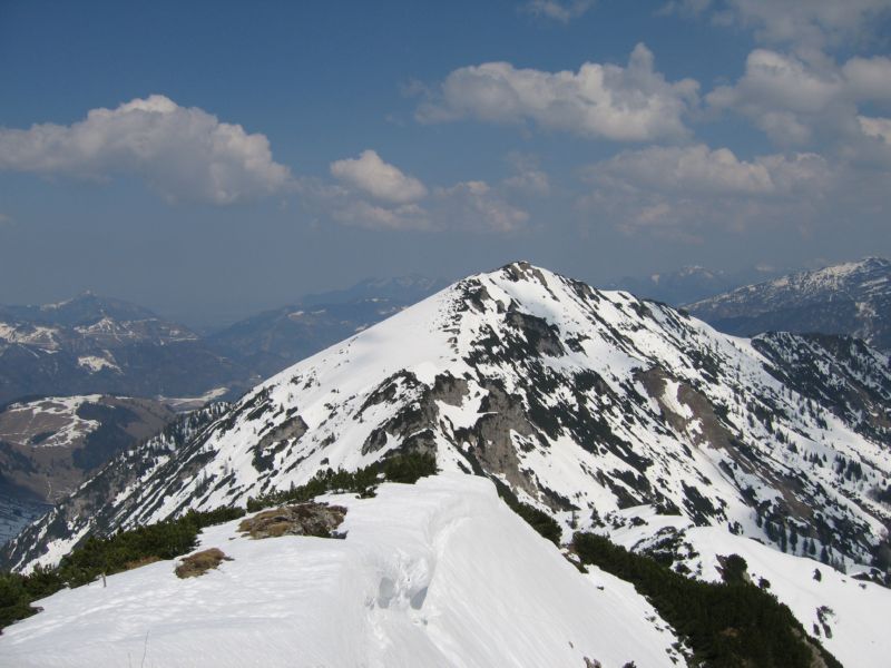 2009-04-13 Stripsenkopf (44) Feldberg, netter Loop im Sommer